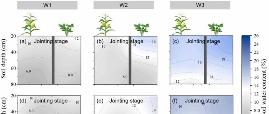 间作系统水分利用| SOIL TILL RES：不同灌溉水平下玉米/大豆间作根系分布和水分利用效率优化：地下互作的贡献