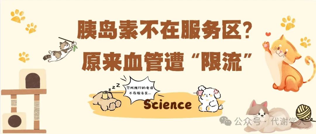 Science：胰岛素不在服务区，原来血管遭“限流”