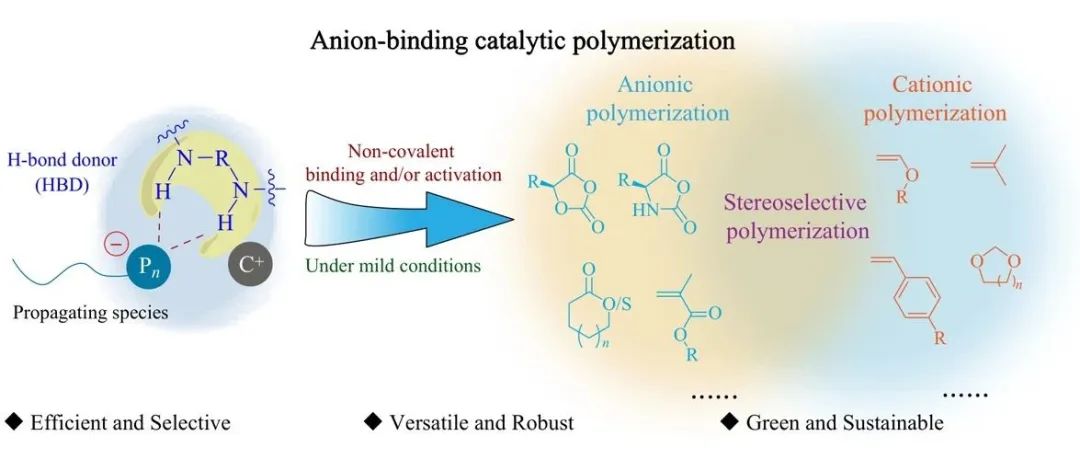 中科院长春应化所陶友华研究员/李茂盛副研究员特约专论：从O-羧基环内酸酐的开环聚合到阴离子结合催化聚合方法的发现