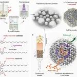 东华大学冯训达课题组 ACS Nano：基于液晶受限体系弹性与界面协同作用制备“刻面”多孔聚合物颗粒