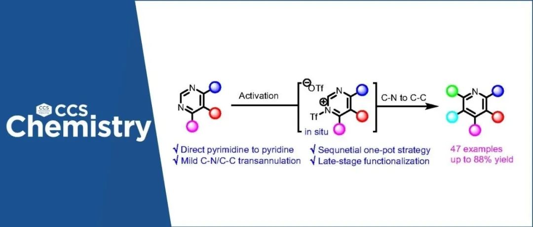 【CCS Chem.】中山大学鄢明/张学景团队：嘧啶到吡啶的转化——双原子置换骨架编辑反应