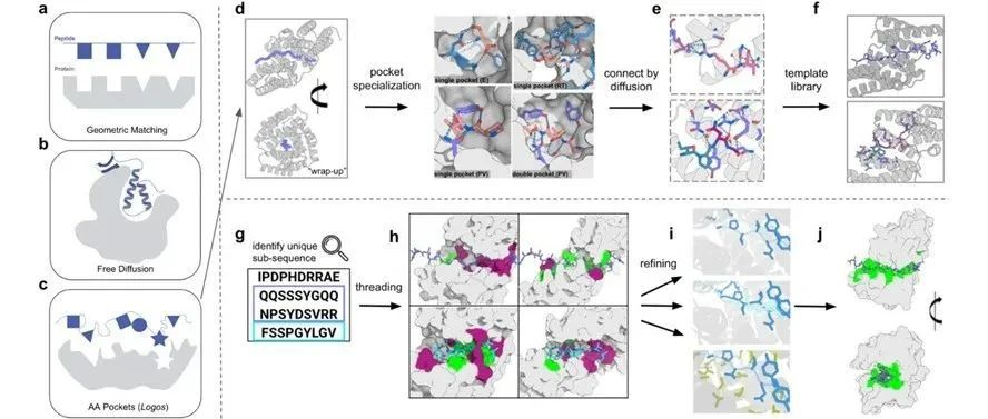 文献分享 | bioRxiv ：固有无序区域结合蛋白的设计