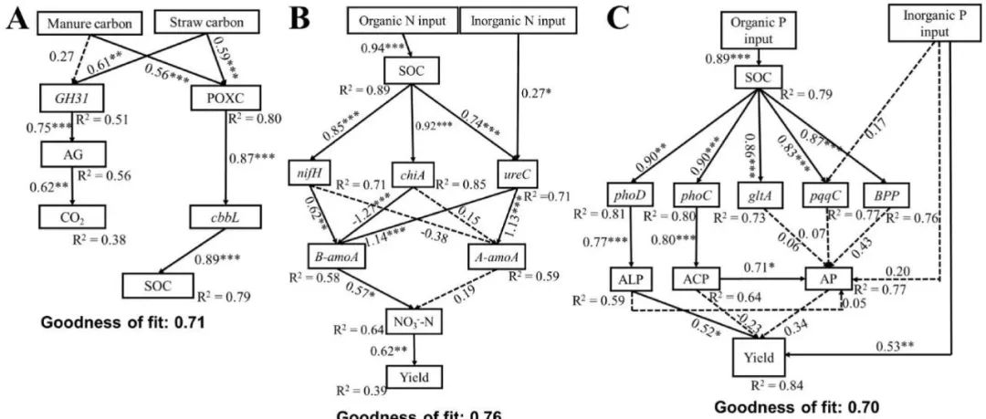 土壤多功能性评价丨SOIL BIOL BIOCHEM：揭开土壤健康之谜： 微生物功能基因是有效指标吗？