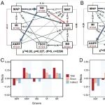 PNAS | 植物所白永飞研究组揭示菌根共生促进草地植物多样性和土壤碳固存