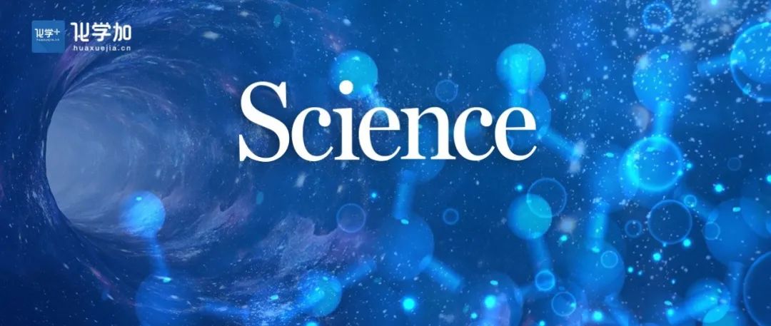 Science：雷晓光/周俭民合作研究发现新型生物农药分子芥酸酰胺