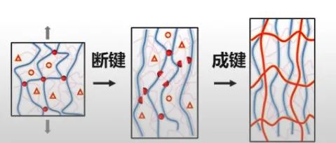 北海道大学龚剑萍教授最新《Nat. Mater.》: 断键触发凝胶快速自增强