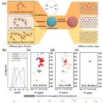 广工邱学青/林绪亮团队 Adv. Mater.: 通过分子量工程调控木质素-金属超分子框架构建碳包覆CoRu合金实现高效电解水