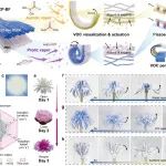 东华大学熊佳庆/周欣然 ACS Nano：VOC感知型全纤维驱动器