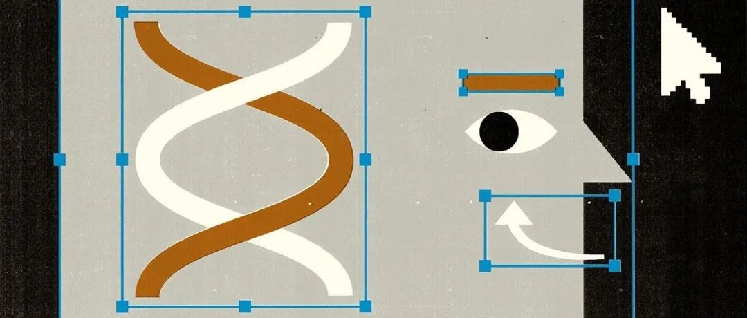 科学绘图，怎么才能让读者眼前一亮又一亮？ | 《自然》长文