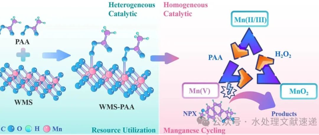 文献速递|华侨大学CEJ:废锰砂经过氧乙酸活化后可高效降解新出现的污染物： 资源利用和双相机制