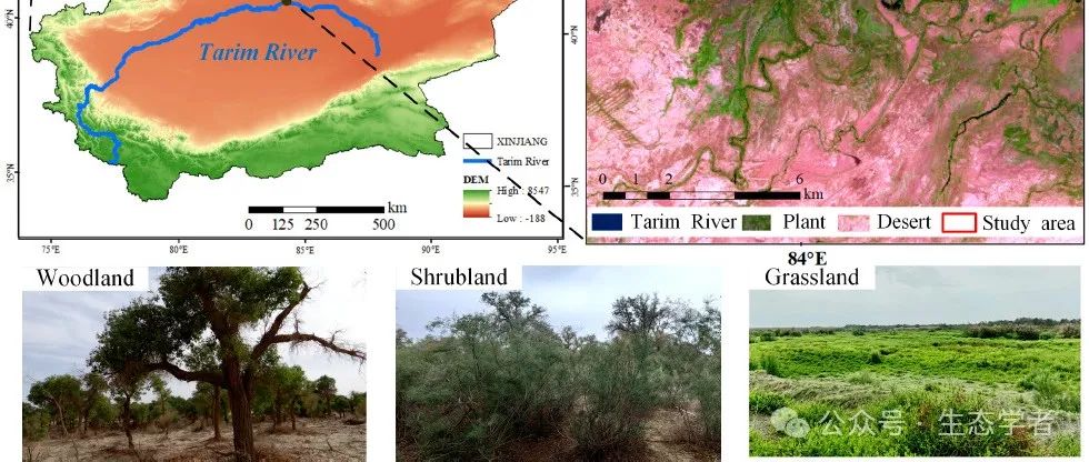 Catena | 新疆大学玉米提·哈力克/天津大学宋照亮科研团队联合揭示荒漠河岸生态系统中植物和微生物来源碳的积累模式和决定因素