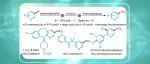 J. Am. Chem. Soc.：吡啶和喹啉通过恶嗪吖嗪进行间硝化反应