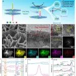 &#8203;辽宁大学黄子航&RMIT马天翼PNAS：氟基氢键化学助力层状双氢氧化物实现高效水系铵离子存储