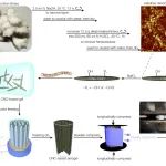 西南大学甘霖/黄进团队 AFM：利用结构负泊松比化策略增强纤维素基气凝胶力电转换效率及压电传感应用场景探索取得进展