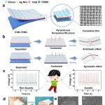 陕科大王学川/刘新华/岳欧阳等 Nano Energy：基于按需调整负泊松比结构的高效摩擦电纳米发电机在可穿戴设备中的应用