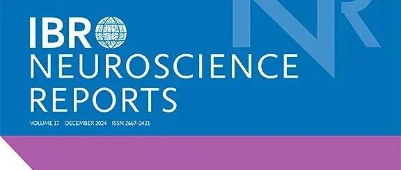 主编年度精选 | IBRO Neuroscience Reports2024年必读高质量文章合集