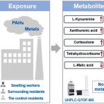 广工大安太成与河师大曹治国联合团队JHM：基于非靶标代谢组学的金属和多环芳烃职业暴露相关的尿液代谢变化研究