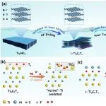 同济大学/喀什大学马杰Adv. Sci.：楔形结构除氟电极“类纳米泵”实现高效水资源净化