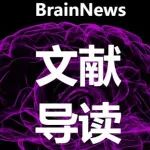 Mol Psychiatry：左右半球杏仁核功能分化，为PTSD治疗提供新思路