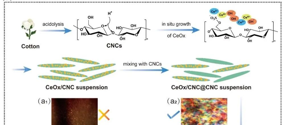 上海交大赵慧教授、朱申敏教授团队《ACS Nano》：仿生手性螺旋结构触发的“生物活性”治疗性接触镜用于角膜损伤快速修复