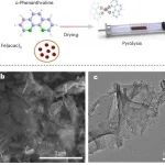 华东理工大学：水处理氧化-有机碳转移 | Nature Water