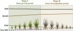 河北大学硕士生一作在土壤学领域top期刊发表论文，揭示植物碳源对草原土壤有机碳形成和稳定性的相对贡献