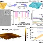 哈工大潘钦敏教授《Compos. Part B: Eng.》：分子刷助力宽温域固态锂电池