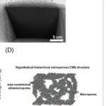 华东理工大学《AICHE JOURNAL》：以天然气原料制备多级多孔碳膜，用于气体分离