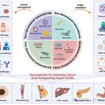 Biomaterials Research综述：实体瘤治疗与器官保护一体化策略