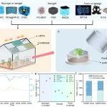 上海交大ITEWA团队王如竹/黄丹枫，新国大李俊团队Nature Communications：现代技术融合的新一代温室节水策略