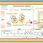 中科大/上海高研院Angew：多功能小分子调控工程助力打造超长寿命固态锂电池