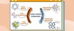 【Chin. J. Chem.】湖南大学方煜教授团队：手性多孔框架的对映选择性分离和不对称催化