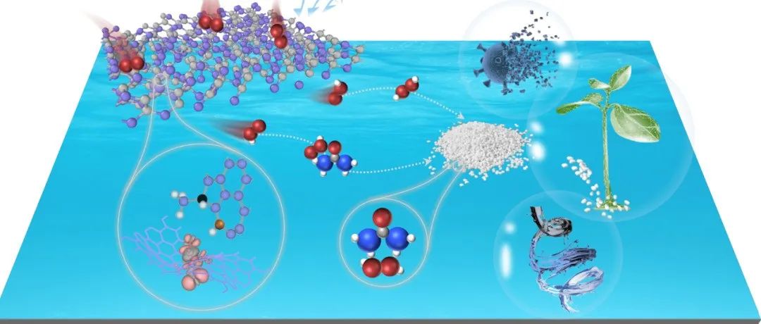 Nature Catalysis: 原位电化学突破—从废液中提取尿素转化为高纯度过氧尿素