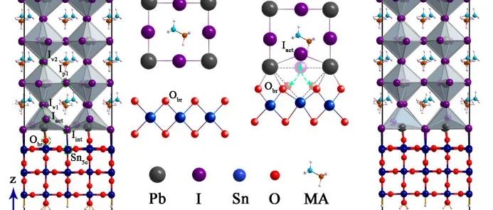 中南大学童传佳/河南大学闻波团队ACS Energy Lett.: SnO2/钙钛矿界面自钝化机制