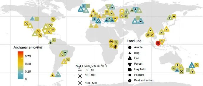 Nature子刊 | 全球变化改变湿地土壤微生物组的结构和功能，增加了N2O的排放