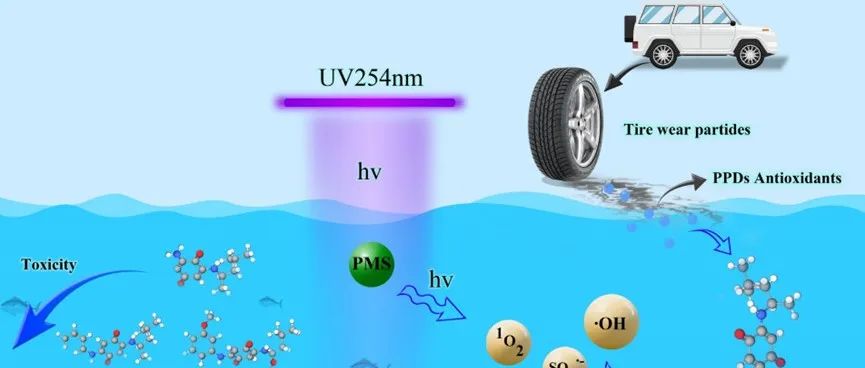 东莞理工学院唐少宇、华北电力大学牛军峰等WR：轮胎源污染物6PPD-醌降解及微生物群落影响机制