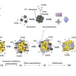 SEH专栏｜中南大学薛生国、吴川等：铁氧化菌通过生物成矿作用实现土壤砷固定