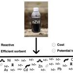 捷克生命科学大学npj Materials Sustainability：土壤纳米修复的前景——纳米零价铁和金属污染物的案例分析