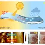 阿尔伯塔大学曾宏波教授团队 ACS Nano: 用于可逆透明光学开关的水凝胶涂层