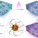 吉林大学王贵宾教授团队 Nano Lett. : 高弹性、抗疲劳凝胶电解质的制备及性能研究