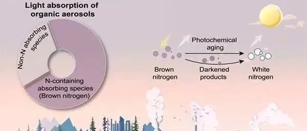 新视角！发表在Science正刊 | 南方科技大学傅宗玫团队与香港科技大学郁建珍团队合作，揭示氮主导全球大气有机气溶胶吸光效应