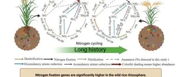 东北地理所在《Nature Communications》发文！