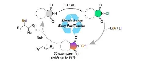 Synthesis of N&#8209;Bromo and N&#8209;Iodo Imides