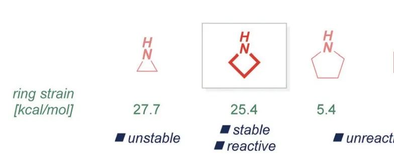 专栏｜氮杂环丁烷：从分子砌块到活性分子