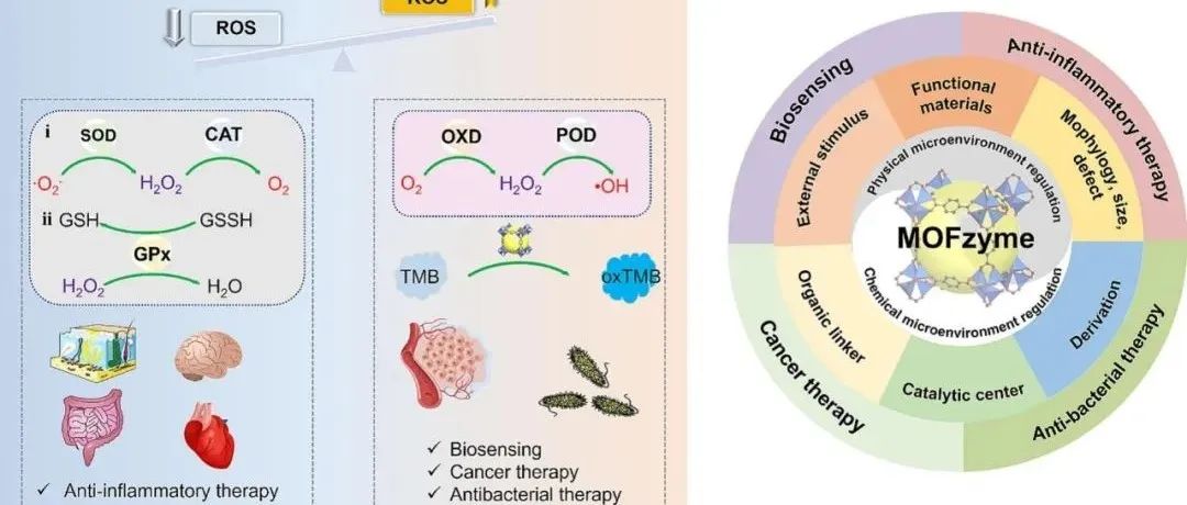 【Coord.Chem.Rev】生物医学应用的MOF酶的微环境工程