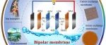 西安交通大学徐浩团队CEJ：双极膜——原理、制备方法及在环境和资源回收应用中的研究进展