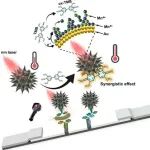 ACS NANO.电子转移驱动的纳米酶通过协同信号放大策略提高生物传感器的灵敏度