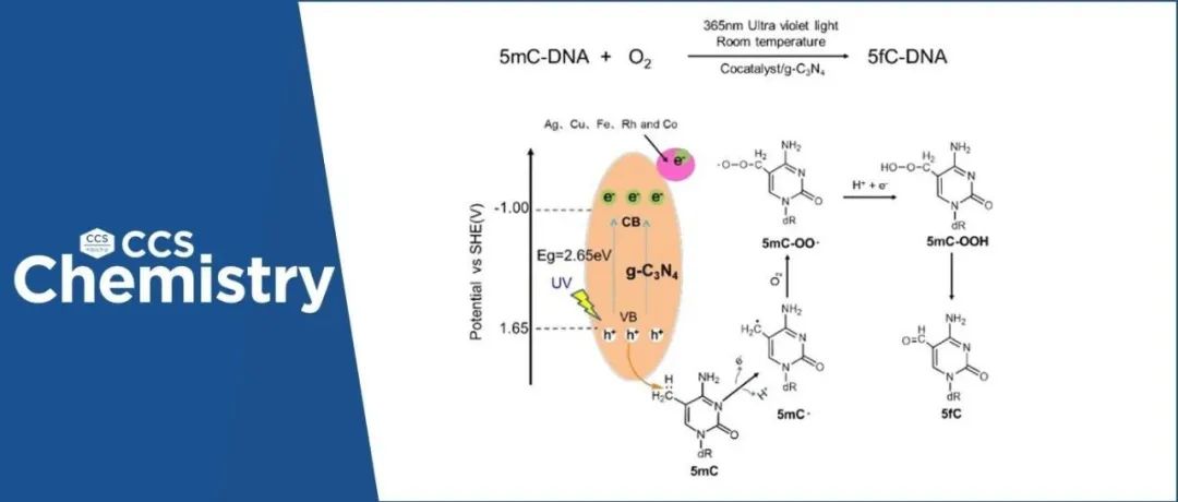 【转载】中国科学院生态环境研究中心汪海林：光激活纳米DNA去甲基化酶选择性催化5-甲基化胞嘧啶氧化形成5-醛基胞嘧啶