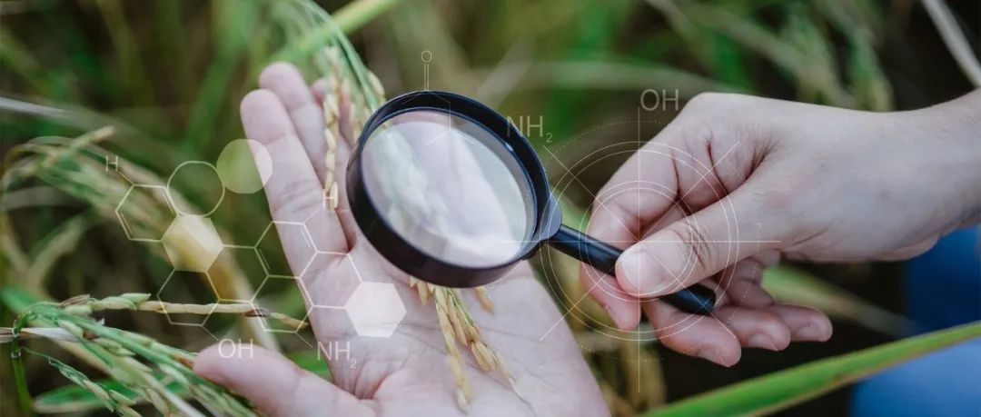 中国科学院遗传发育生物学研究所/北京大学Science：新型植物抗病化合物让致病细菌“哑火”