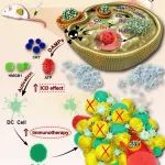 范仲雄/李莹/侯振清/李金耀Journal of Nanobiotechnology：级联“充能电池”以增强肿瘤免疫治疗